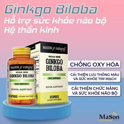 Viên Uống Mason Natural Ginkgo Biloba Hỗ Trợ Chức Năng Bộ Não, Hệ Thần Kinh 60 Viên