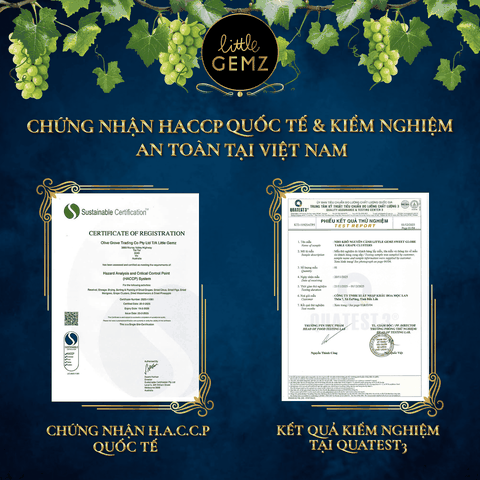 Nho khô nguyên cành Úc Little Gemz Sweet Globe Dried Table Grape Cluster 1kg