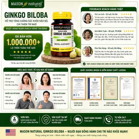 Mason Natural Ginkgo Biloba – Hỗ trợ tăng cường sức khỏe não bộ, cải thiện trí nhớ 60 viên