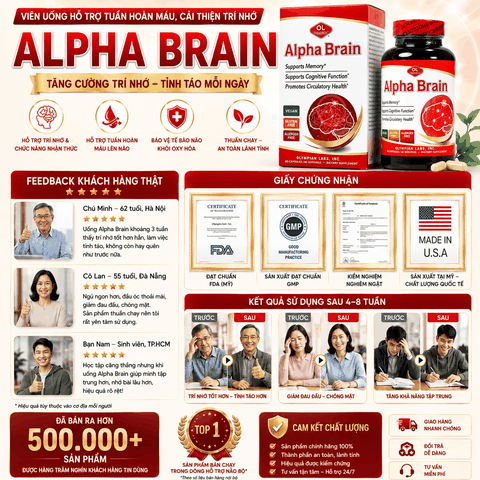 Viên uống hỗ trợ tuần hoàn máu, cải thiện trí nhớ Olympian Labs Alpha Brain hộp 60 viên