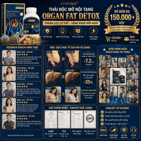 Thải độc mỡ nội tạng vitatree organ fat detox thanh lọc cơ thể hộp 60 viên