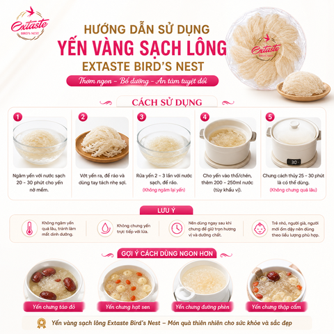 Yến vàng sạch lông extaste bird's nest thơm ngon bổ dưỡng hộp 100g