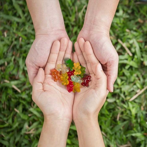 Kẹo dẻo gấu trái cây hữu cơ Black Forest Gummy Bears thùng 65 gói