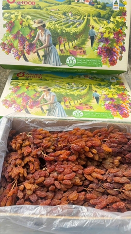 Nho khô nguyên cành Adora st Food Crimson Dried Table Grapes Cluster  4kg - Loại A
