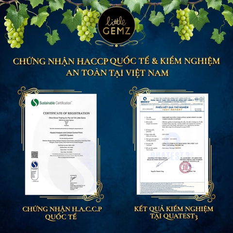 Nho khô trên cành Úc Little Gemz Sweet Globe Dried Table Grape Cluster 250g