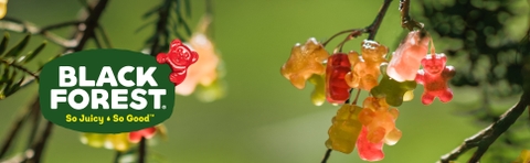 Kẹo dẻo gấu trái cây hữu cơ Black Forest Gummy Bears thùng 65 gói