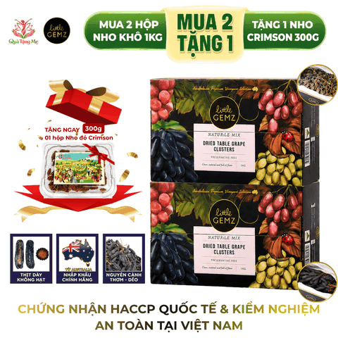 [MUA 2 TẶNG 1] - Combo 2 hộp Nho khô Ngón Tay Little Gemz