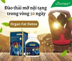 Thải độc mỡ nội tạng vitatree organ fat detox thanh lọc cơ thể hộp 60 viên