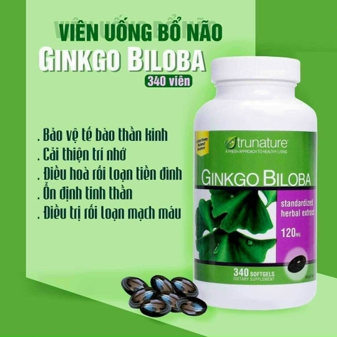 Bổ não Trunature Ginkgo Biloba 120mg tăng cường tuần hoàn máu não 340 viên