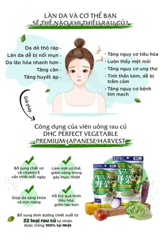 Rau củ tổng hợp DHC Nhật  perfect vegetable 30 ngày hỗ trợ tiêu hóa 120 viên