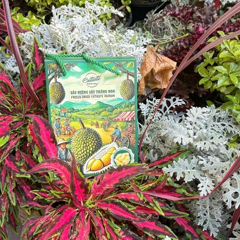 Sầu riêng sấy thăng hoa Freeze Dried Extaste Durian 100g Ready to eat Snack