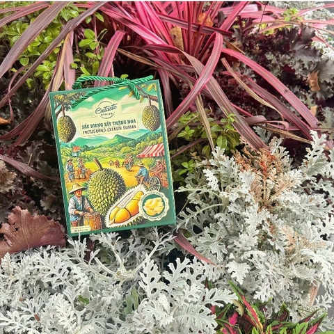 Sầu riêng sấy thăng hoa Freeze Dried Extaste Durian 100g Ready to eat Snack