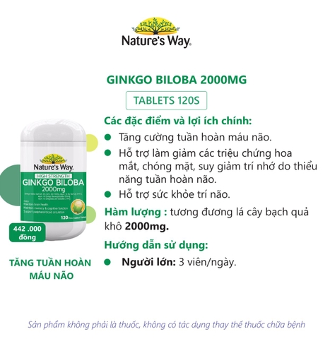 Ginkgo biloba nature's way 2000mg bổ não, tăng cường trí nhớ hộp 120 viên