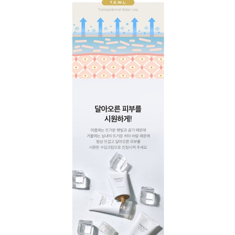 7/24 Kem dưỡng ẩm phục hồi da skin1004 madagascar centella soothing cream tuýp 75ml