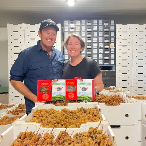 Nho khô nguyên cành Adora st Food Dried Grapes Cluster Thompson  1kg đặc sản Úc