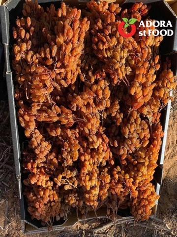 Nho khô nguyên cành Adora st Food Thompson thùng 4kg