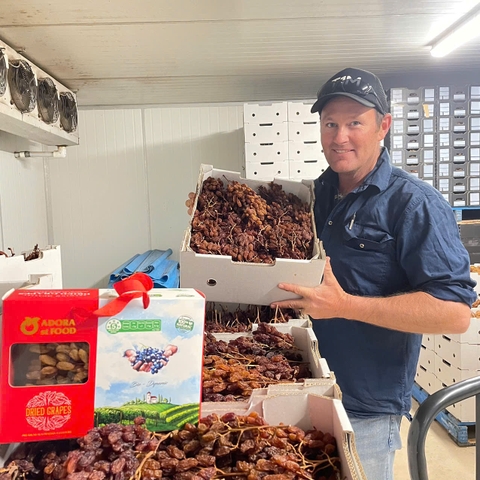 Nho khô nguyên cành Adora st Food Crimson Dried Table Grapes Cluster  4kg - Loại A