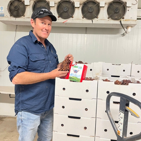 Nho Khô Nguyên Cành Adora st Food Dried Grapes Cluster Crimson  500g đặc sản của Úc