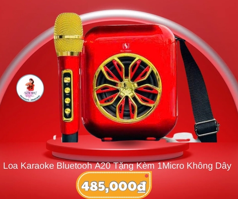 Loa bluetooth karaoke A20 Mẫu Mới Nhất tặng kèm 1 micro ko dây (30)