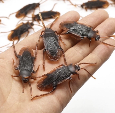 COMBO 2 CON GIÁN GIẢ, TIỂU CƯỜNG BẰNG NHỰA (K.Ckhau)