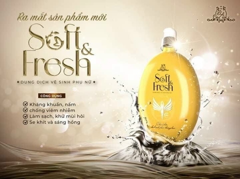 DUNG DỊCH VỆ SINH ĐÔNG ANH C.HÃNG LẺ CTY 199K (C.K15)