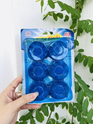 VỈ 6 VIÊN THẢ BỒN CẦU LỚN (2)