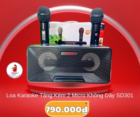 LOA KARAOKE TẶNG KÈM 2 MICRO KHÔNG DÂY CỰC HAY MÃ SD301 (60)