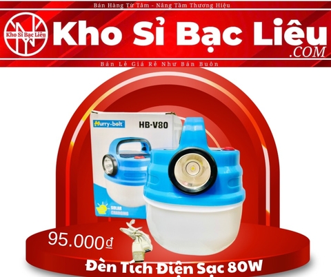 ĐÈN TÍCH ĐIỆN SẠC 80W (8)