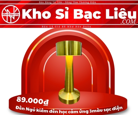 ĐÈN NGỦ KIÊM ĐÈN HỌC CẢM ỨNG 3 MÀU SẠC ĐIỆN