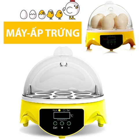 Máy Ấp Trứng Gà Tự Động 7 Quả YZCB Hiển Thị Màn Hình Led 18x18x17CM 400G