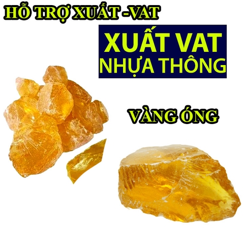Nhựa Thông Cục Siêu To Khổng Lồ