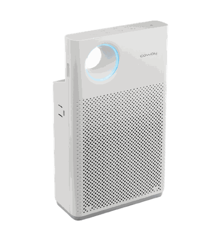 Máy lọc không khí Coway AP-1018F
