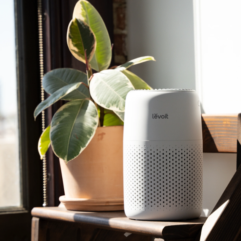 Máy lọc không khí Levoit Core Mini 7W