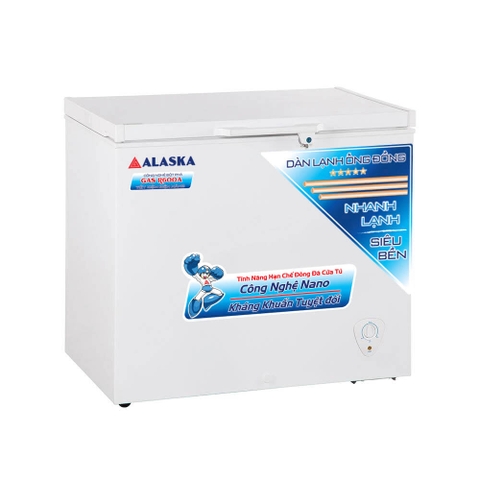 Tủ đông Alaska 205 lít BD-300C Dàn đồng
