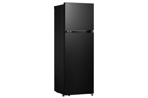 Tủ lạnh LG Inverter 217 lít T21BG