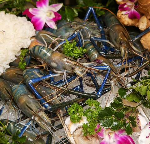 Buffet Lẩu Nhật Hải Sản, Bò Mỹ & Dimsum Với 60 Món Nhúng Và 5 Vị Nước Lẩu