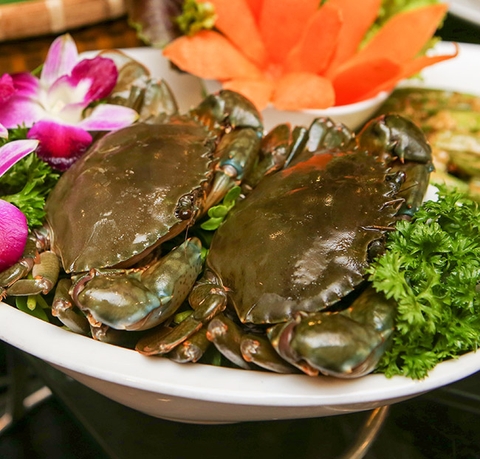Buffet Lẩu Nhật Hải Sản, Bò Mỹ & Dimsum Với 60 Món Nhúng Và 5 Vị Nước Lẩu