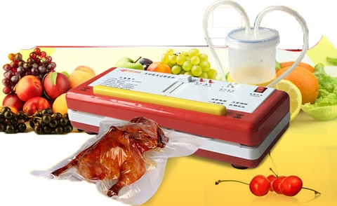 Máy hút chân không gia đình DZ-300B