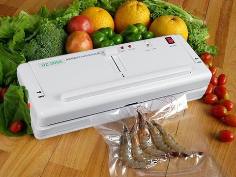 Máy ép chân không mini DZ-300A