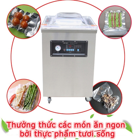Máy hút chân không công nghiệp DZQ-400