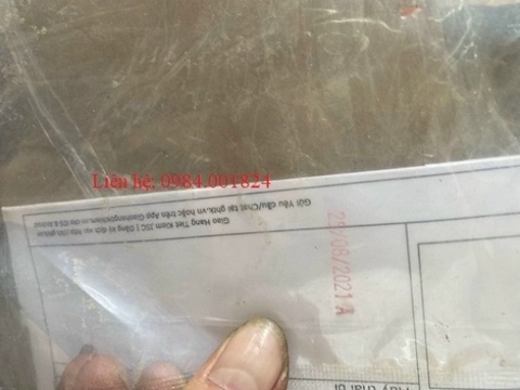 Máy in date, máy dập ngày sản xuất DY8 Tại Hà Nội