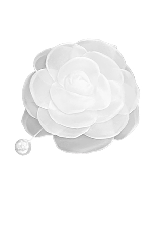season_coll_8_img.png