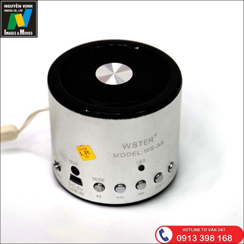 Loa Bluetooth WSTER WS-A8