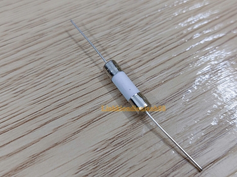 Cầu chì sứ cắm 10A 250VAC khích thước 5x20mm mới 100% !