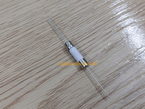 Cầu chì sứ cắm 20A 250VAC khích thước 5x20mm mới 100% !