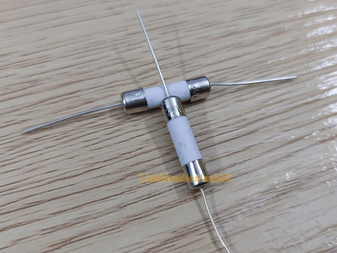 Cầu chì sứ cắm 25A 250VAC khích thước 5x20mm mới 100% !