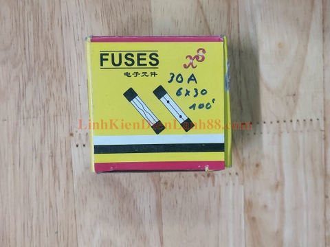 Gói 100c Cầu chì thủy tinh 30A 250v 6x30mm mới 100%
