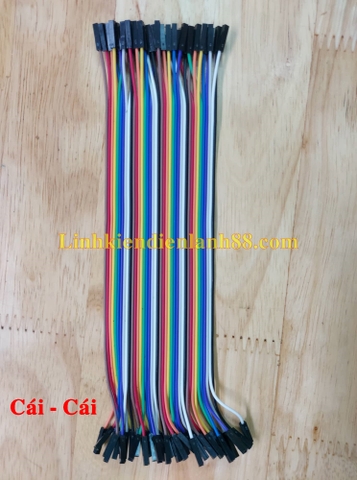 Cáp 7 màu dài 20cm Cái-Cái có 40 sợi