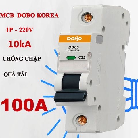 Cầu dao tự động 1 tép MCB 1P 100A 10kA DoBo Korea DZ47-881001P