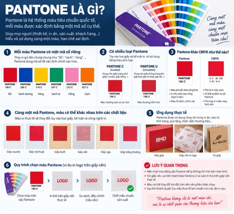 Màu Pantone là gì ?